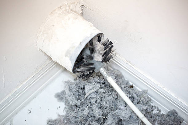 Best Duct Cleaning for Homes  in Pamplico, SC