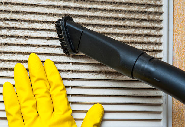 Best Affordable Air Duct Cleaning  in Pamplico, SC